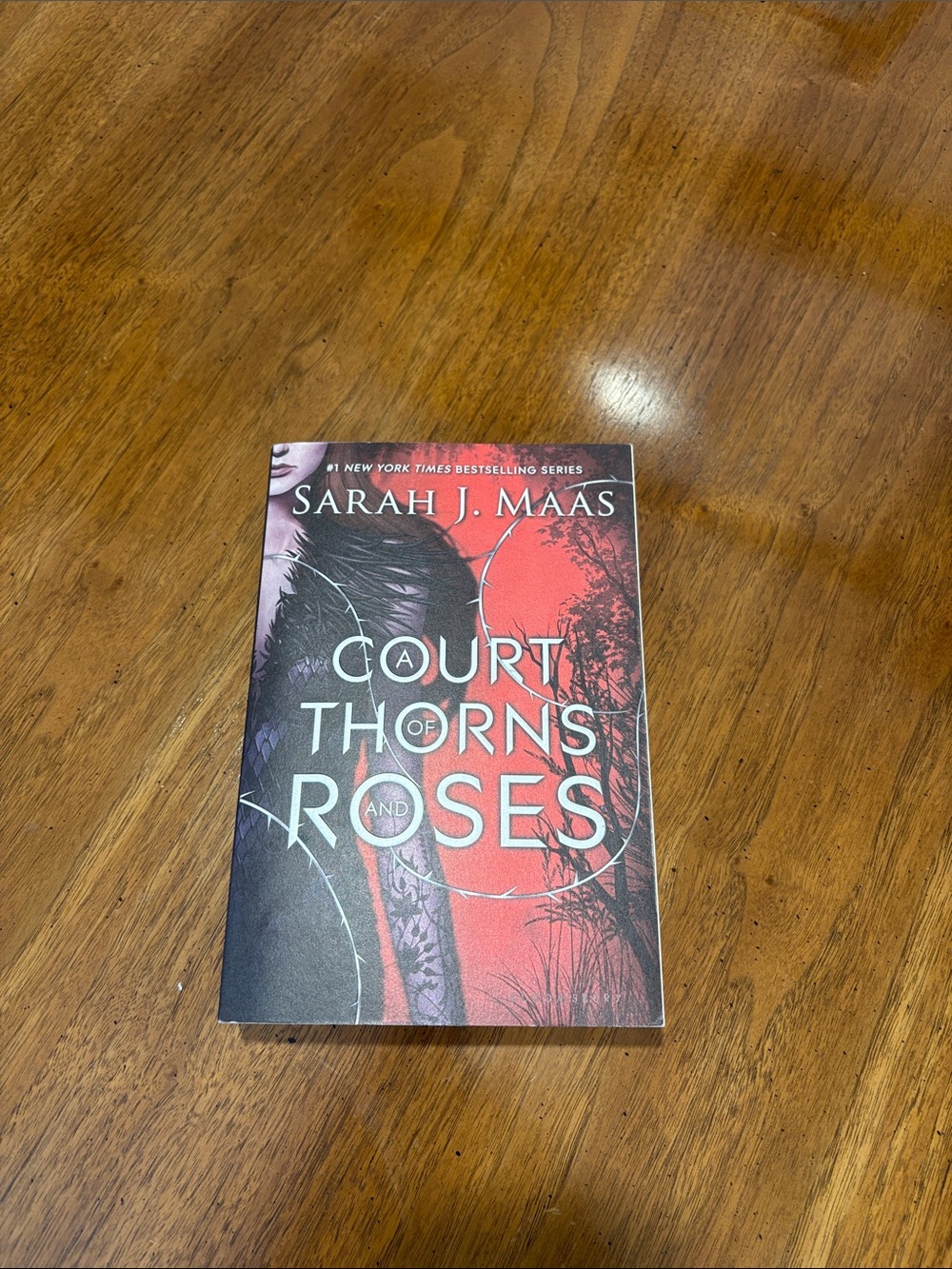 A Court of Thorns and Roses